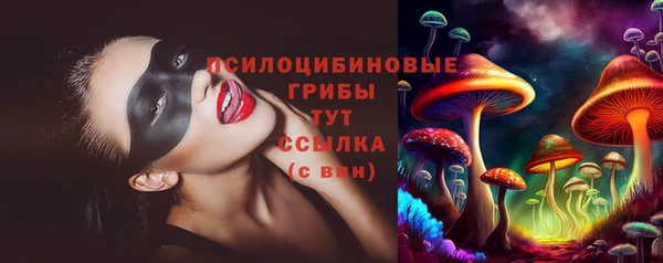 хмурый Абинск