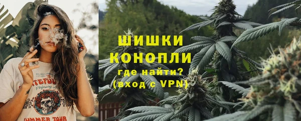 ПСИЛОЦИБИНОВЫЕ ГРИБЫ Абаза