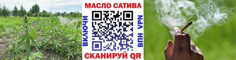 ссылка на мегу ссылка  Монино  Дистиллят ТГК THC oil 