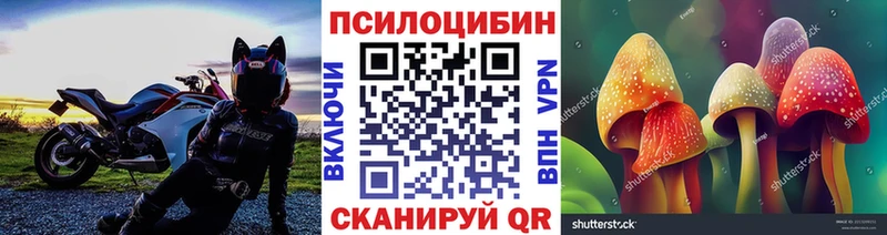 Псилоцибиновые грибы Psilocybine cubensis  Монино 